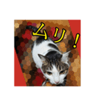 ねこネコにゃんこ☆（個別スタンプ：4）