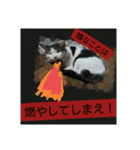 ねこネコにゃんこ☆（個別スタンプ：14）