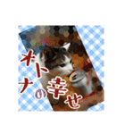 ねこネコにゃんこ☆（個別スタンプ：19）