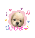 ちょことぷに②（個別スタンプ：2）