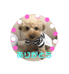ちょことぷに②（個別スタンプ：9）