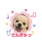 ちょことぷに②（個別スタンプ：10）
