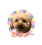 ちょことぷに②（個別スタンプ：17）