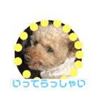 ちょことぷに②（個別スタンプ：23）