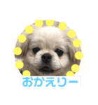 ちょことぷに②（個別スタンプ：24）