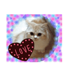 【激かわ♡】もふねこミルク2（個別スタンプ：9）