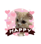 【激かわ♡】もふねこミルク2（個別スタンプ：10）