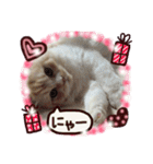 【激かわ♡】もふねこミルク2（個別スタンプ：18）