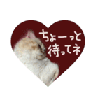 【激かわ♡】もふねこミルク2（個別スタンプ：38）