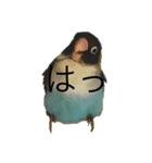 チュチュとラムネ（個別スタンプ：8）
