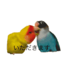 チュチュとラムネ（個別スタンプ：15）