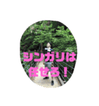 平成最後のゆうちゃんスタンプ（個別スタンプ：6）