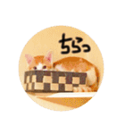 猫達の日常にゃ（個別スタンプ：9）