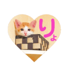 猫達の日常にゃ（個別スタンプ：24）