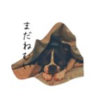 ぼすてりぽむ（個別スタンプ：2）