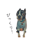 ぼすてりぽむ（個別スタンプ：6）
