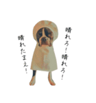 ぼすてりぽむ（個別スタンプ：9）