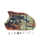 ぼすてりぽむ（個別スタンプ：10）