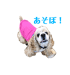 アメコカFuuta④［friend①］（個別スタンプ：5）