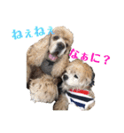 アメコカFuuta④［friend①］（個別スタンプ：10）