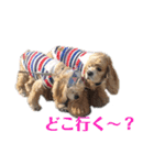 アメコカFuuta④［friend①］（個別スタンプ：11）