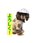 アメコカFuuta④［friend①］（個別スタンプ：12）