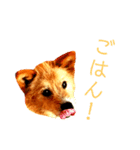 トニー＆ニケ（個別スタンプ：5）