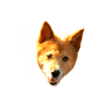 トニー＆ニケ（個別スタンプ：6）