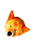 トニー＆ニケ（個別スタンプ：7）