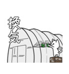 農で頑張る畑ネコ達の使いやすい！？スタンプ（個別スタンプ：25）