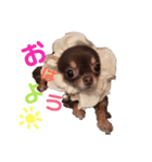 ビビちゃんスタンプ♡（個別スタンプ：1）