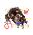 ビビちゃんスタンプ♡（個別スタンプ：5）