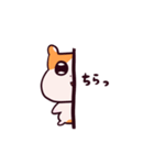 ハムスターの日常です（個別スタンプ：19）