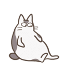 目で語るマイペースなにゃんこ（個別スタンプ：13）