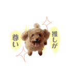 ぽんぽこ探検隊（個別スタンプ：9）