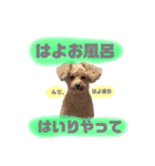 ぽんぽこ探検隊（個別スタンプ：10）