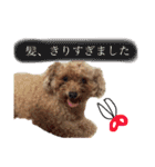 ぽんぽこ探検隊（個別スタンプ：11）