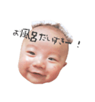 hayate★（個別スタンプ：3）
