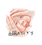 hayate★（個別スタンプ：12）