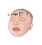 hayate★（個別スタンプ：20）