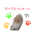 シェルティ ラムパの日常②（個別スタンプ：32）