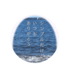 海と詩（個別スタンプ：8）