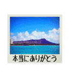 絶景ポラロイド風写真 (ゆるっと敬語)（個別スタンプ：3）