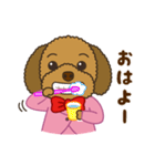 トイプードルのあんずちゃん 気持ち編（個別スタンプ：1）