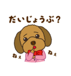 トイプードルのあんずちゃん 気持ち編（個別スタンプ：27）