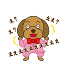 トイプードルのあんずちゃん 気持ち編（個別スタンプ：31）