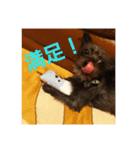 アルだよ（個別スタンプ：2）