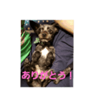 アルだよ（個別スタンプ：7）