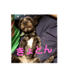 アルだよ（個別スタンプ：8）