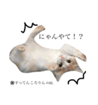 渡る世間は猫ばかり。（個別スタンプ：4）